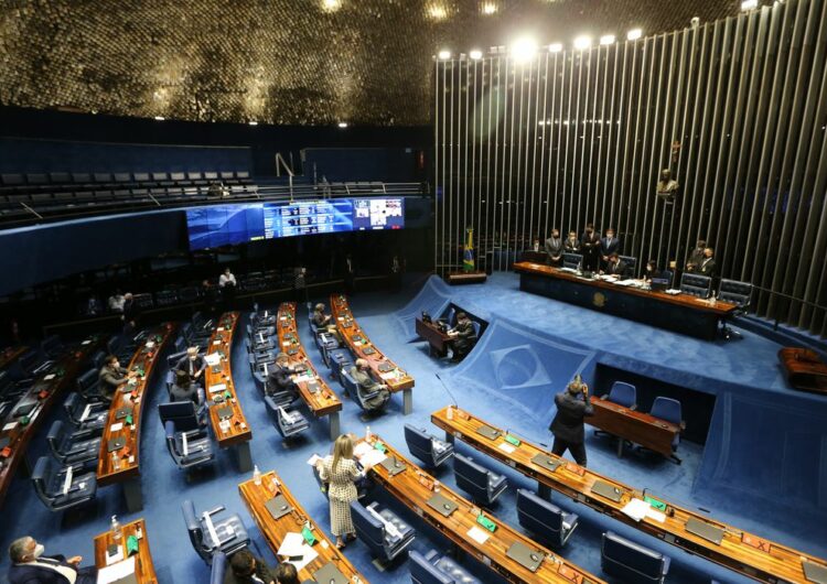 Senado aprova proibição de armas para agressores de mulheres