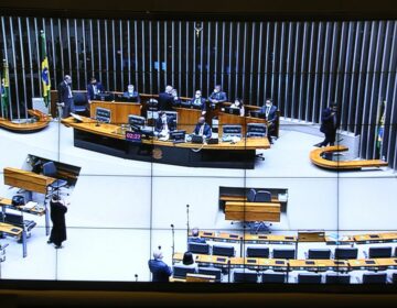 Câmara aprova proibição de tatuagem em cães e gatos com fins estético