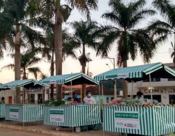 Agricultores retomam feiras presenciais, mas não dispensam comércio virtual