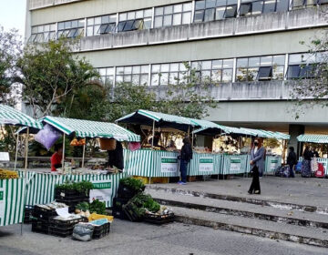 Seapa abre inscrições para “Feirinha da PJF”