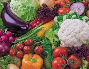 Inscrições para composição do Conselho de Segurança Alimentar e Nutricional terminam nesta 5ª, 30