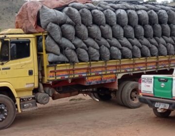 Operação Mata Atlântica em Pé fiscaliza 156 propriedades em Minas Gerais