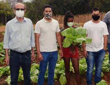 Horta comunitária melhora alimentação e renda de famílias na Zona da Mata