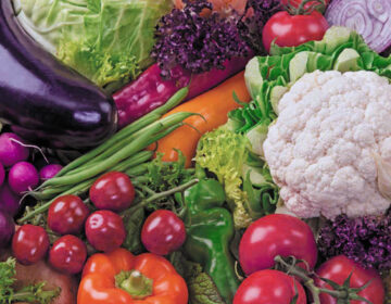 Votação decide novos representantes da sociedade civil para Comsea nesta segunda, 25