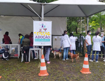 Evento promove adoção de animais do Canil Municipal