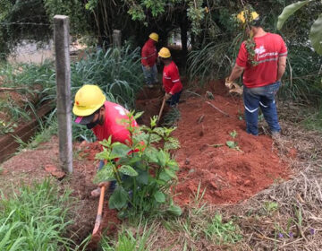 Cesama executa 50% da remodelação de rede de esgoto do Quintas da Avenida