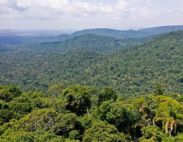 Governo cria Cédula de Produto Rural Verde