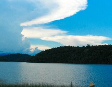 Homologado resultado de seleção pública para investimentos no Parque Estadual do Rio Doce