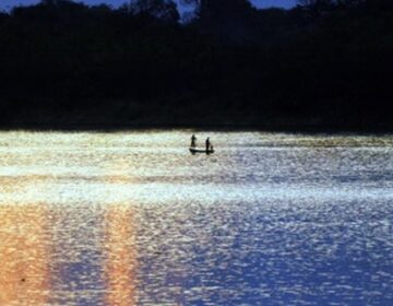 Turismo em MG movimenta bilhões na economia e quadruplica crescimento em número de empregos