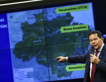 Vice-presidente defende o fortalecimento de órgãos ambientais