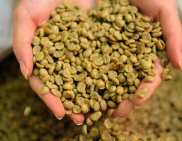 Minas segue como maior produtor de café no Brasil, responsável por 46% da safra 2021