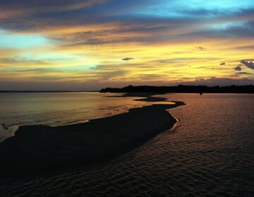CCJ adia análise sobre plebiscito para criar estado do Tapajós