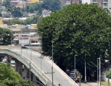 Programação de Natal da PJF começa com Árvore da Vida em homenagem às vítimas da Covid-19