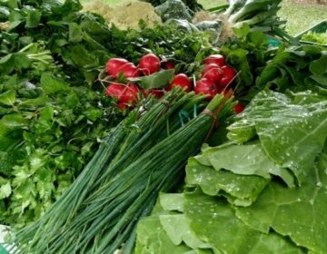 Agricultores e cooperativas entregam amostras de alimentos nesta terça e quarta