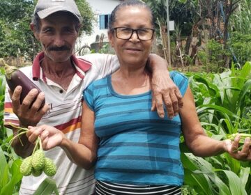 Programa Irriga Minas beneficia mais de 700 agricultores familiares em 2021