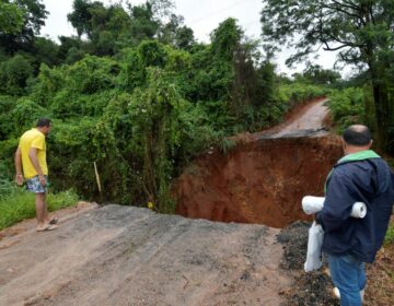 Chuvas provocam perdas de 119 mil hectares de lavouras de Minas Gerais