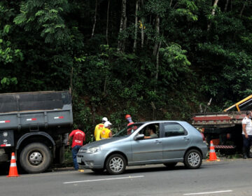 Operação de corte e poda de árvores na Gentil Forn é finalizada pela Empav