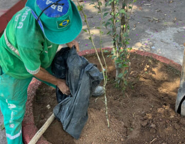 Demlurb conclui compensação ambiental com plantio de mudas de árvores na praça do bairro Barbosa Lage