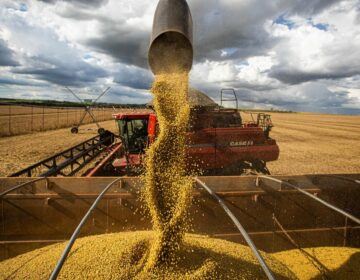 Comércio exterior do agronegócio tem saldo de US$ 9,3 bi em fevereiro