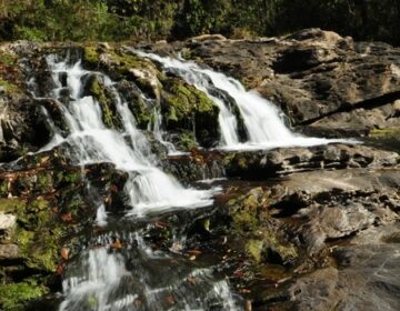 Parque Estadual Mata do Limoeiro lança passaporte para visitantes