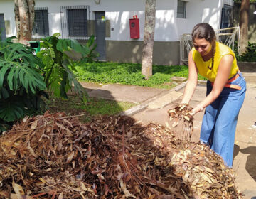 Resíduos de capina do Parque Municipal servem como fonte para compostagem