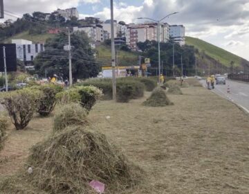 Através da Empav, zeladoria do Programa Boniteza atende 12 bairros em uma semana