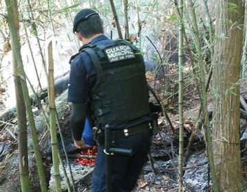 Guarda Municipal controla foco de incêndio na trilha da Constantino Paleta