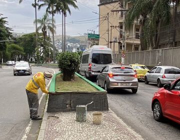 Programa Boniteza realiza revitalização dos canteiros centrais da Avenida Itamar Franco