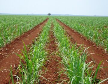 Ferramenta desenvolvida pelo Governo de Minas será utilizada em estudo de diagnóstico ambiental em Água Comprida