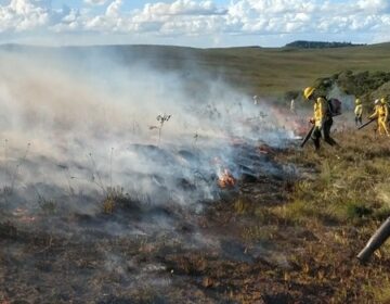 Treinamento capacita brigadistas para combate a incêndios florestais