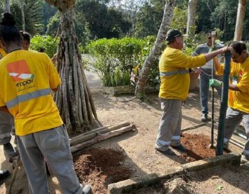 Parceria entre a PJF e o Senar oferece curso de viveirista florestal para acauteladas no Horto