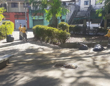 PJF segue com poda de árvores na Av. Presidente Itamar Franco