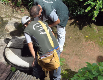 Granjas Betânia e Vivendas da Serra recebem ações de combate à Dengue e outras doenças