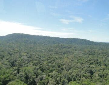 Proposta elimina exigência legal de área de proteção e floresta em terra doada pela União em Rondônia