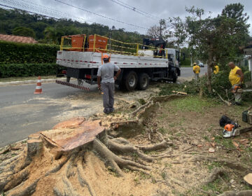 Prefeitura realiza o recolhimento de árvores e galhos caídos após chuvas de sábado, 22