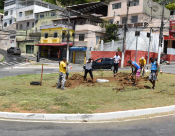 Trevo do bairro Vale do Ipê é o primeiro a receber o projeto “Boniteza Pop – Flores da Esperança”