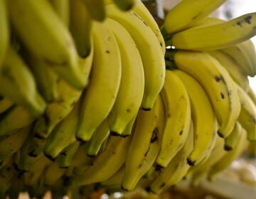 Conab: menor oferta eleva preços de hortaliças e frutas em setembro