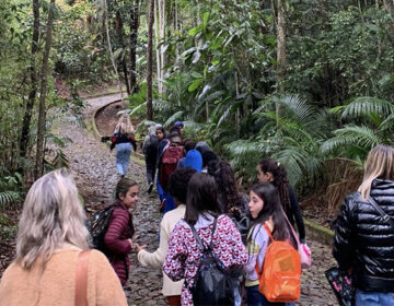 Parque Municipal oferece Visitas Guiadas Temáticas durante os finais de semana de novembro