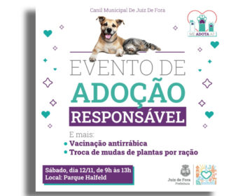 Canil Municipal promove adoção de cães neste sábado, 12, no Parque Halfeld