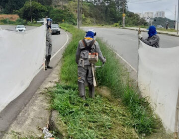 PJF dá sequência a limpeza e poda de grama nos corredores centrais da cidade