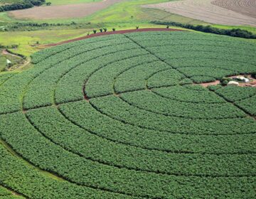 Índice de Confiança do Agronegócio tem melhor resultado trimestral