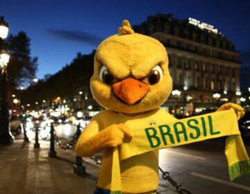 Leões, tigres, cangurus, falcões, águias e canarinhos entram em campo