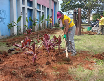 Prefeitura realiza revitalização com plantio de 520 mudas em canteiro na Avenida Brasil