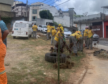 Prefeitura revitaliza local de descarte irregular de lixo no Manoel Honório