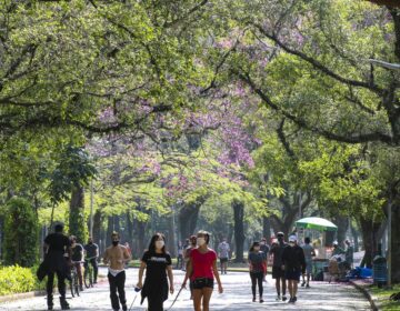 Turismo em São Paulo retoma patamar pré-pandemia