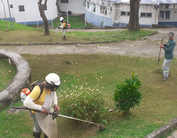 Prefeitura atende 13 bairros com serviços de poda de grama em dois dias