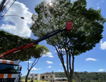 Prefeitura realiza poda de árvores em mais de dez bairros nesta semana