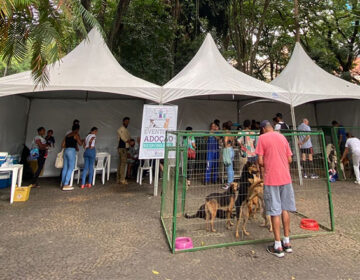 Canil Municipal promove adoção de pets e vacinação antirrábica neste sábado, 29, no Parque Halfeld