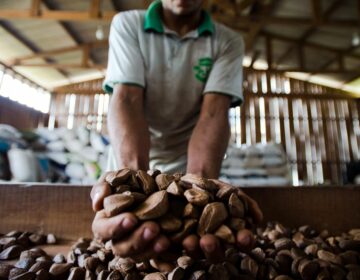 BNDES vai destinar R$ 2,5 milhões para bioeconomia na Amazônia