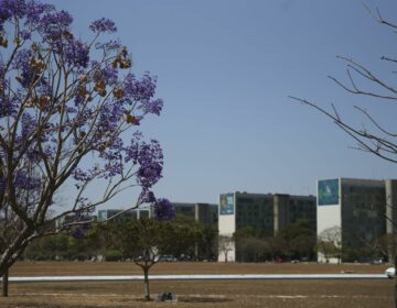 Participação feminina em cargos no governo federal mostra estagnação